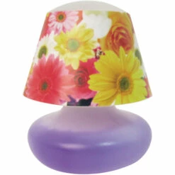 MSV Lampe Dessalure