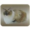 MSV Planche à Découper Et Dessous De Plat En Verre Motif Chat - Beige
