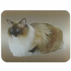MSV Planche à Découper Et Dessous De Plat En Verre Motif Chat - Beige